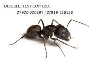 Descreet Pest Control 375443 Image 4